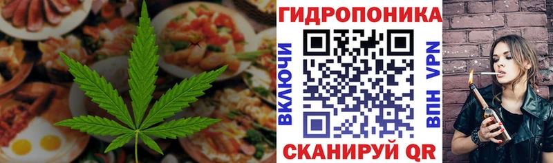 Cannafood конопля  Кохма 