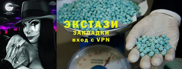 стаф Данков