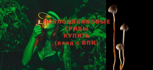 молекула духа Новозыбков