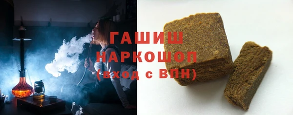 молекула духа Новозыбков