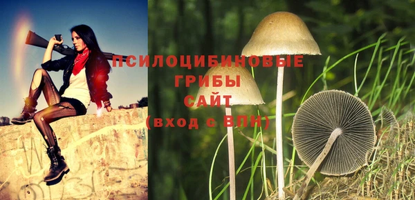 прущий лед Нефтекумск