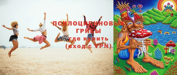 тгк Новокубанск