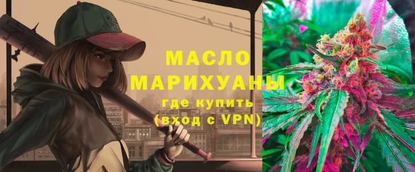 молекула духа Новозыбков