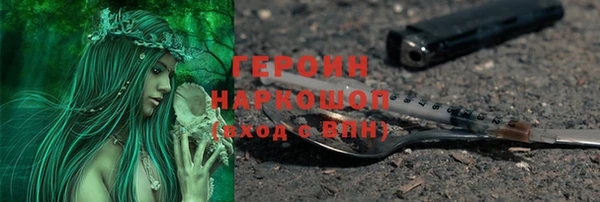 молекула духа Новозыбков