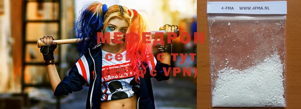 молекула духа Новозыбков
