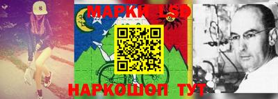 МДПВ Камышлов
