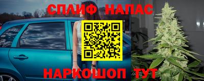 шишки Краснодар