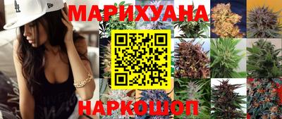 МДПВ Камышлов