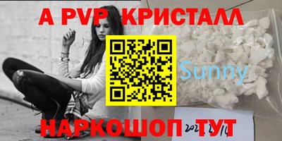 МДПВ Камышлов