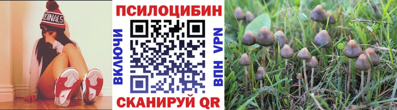 Псилоцибиновые грибы мухоморы  mega зеркало  Кохма 