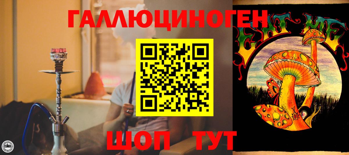 Кохма  Псилоцибиновые грибы прущие грибы  Псилоцибиновые грибы мицелий  Вход с VPN 