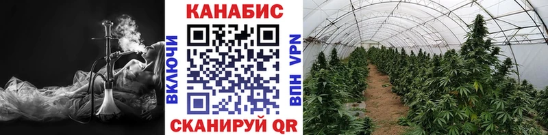 Каннабис Amnesia  Кохма 